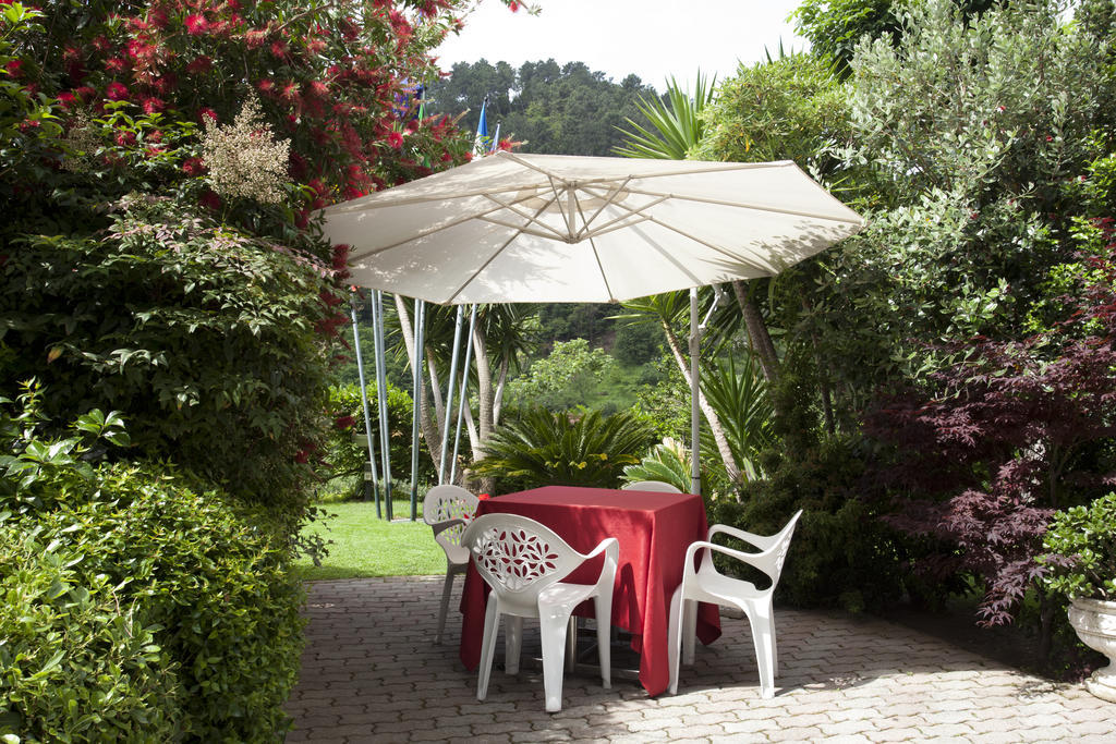 Grappolo D'Oro Hotel Pietrasanta Exterior foto