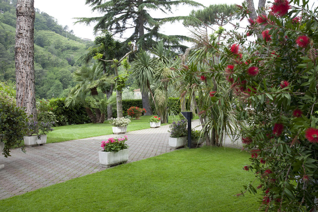 Grappolo D'Oro Hotel Pietrasanta Exterior foto