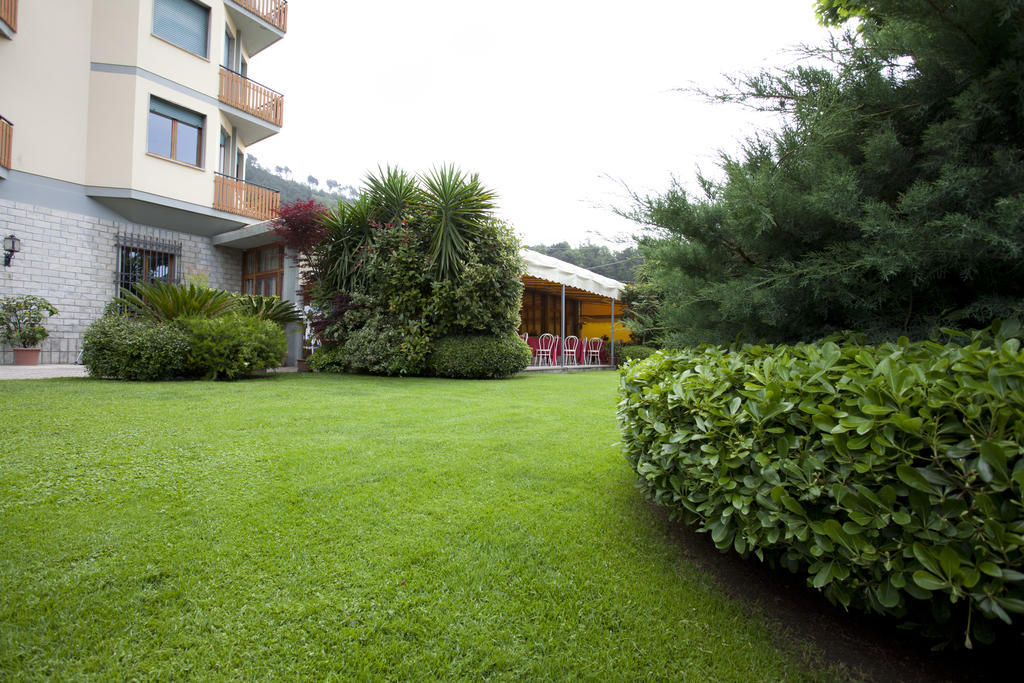 Grappolo D'Oro Hotel Pietrasanta Exterior foto